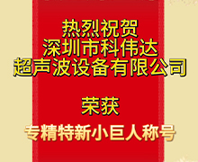 91午夜福利视频：荣获深圳市第五批专精特新“小巨人”企业荣誉称号